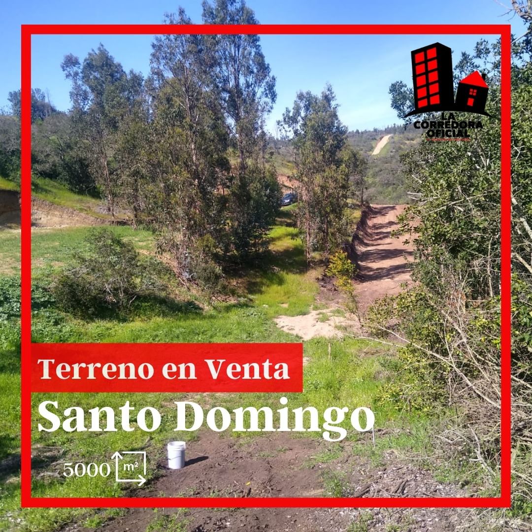 Terreno Santo Domingo